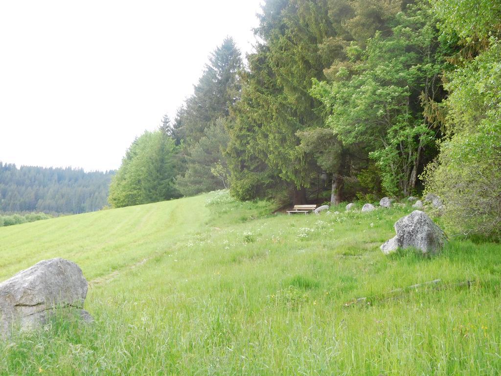 Apartment Schluchsee Buitenkant foto