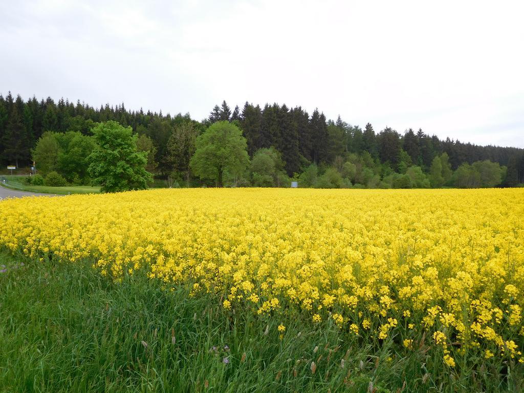 Apartment Schluchsee Buitenkant foto