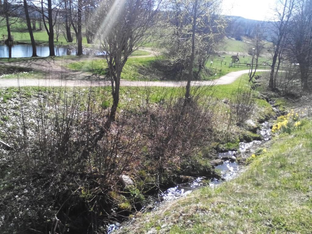 Apartment Schluchsee Buitenkant foto